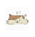 ぽんちゃんすたんぷ（個別スタンプ：12）