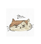 ぽんちゃんすたんぷ（個別スタンプ：13）
