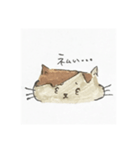 ぽんちゃんすたんぷ（個別スタンプ：14）