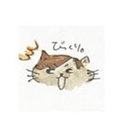 ぽんちゃんすたんぷ（個別スタンプ：15）