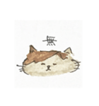 ぽんちゃんすたんぷ（個別スタンプ：16）