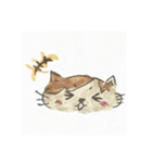 ぽんちゃんすたんぷ（個別スタンプ：17）
