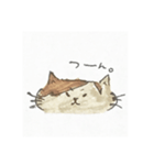 ぽんちゃんすたんぷ（個別スタンプ：18）