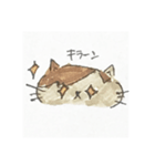 ぽんちゃんすたんぷ（個別スタンプ：19）