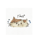 ぽんちゃんすたんぷ（個別スタンプ：20）