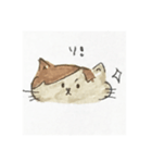 ぽんちゃんすたんぷ（個別スタンプ：23）