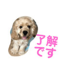 おうじ（個別スタンプ：1）