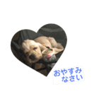 おうじ（個別スタンプ：2）