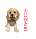おうじ（個別スタンプ：8）