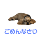 おうじ（個別スタンプ：10）
