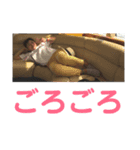 日常がわるふざけ（個別スタンプ：1）