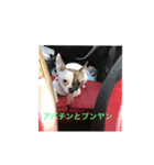 ブンヤンのスタンプ（個別スタンプ：6）