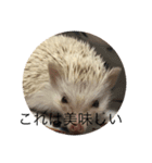 ハリネズミで簡単会話（個別スタンプ：10）