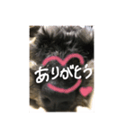 ムックく（個別スタンプ：1）