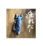 ムックく（個別スタンプ：5）