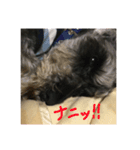 ムックく（個別スタンプ：6）