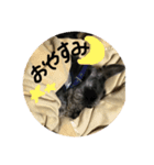 ムックく（個別スタンプ：8）