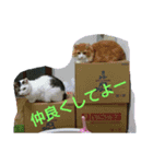 みんな最高（個別スタンプ：15）