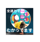 あぱぱのおりつ（個別スタンプ：2）