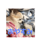 なかむら うーちゃん（個別スタンプ：3）