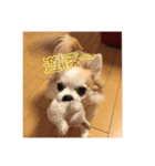 なかむら うーちゃん（個別スタンプ：6）