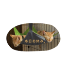 チャロとロコ（個別スタンプ：14）