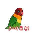 天然パーマネント坊や（個別スタンプ：21）
