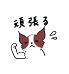 大切な人に毎日お返事いぬじろう（個別スタンプ：38）