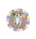 ハムスターのコロちゃん（個別スタンプ：2）