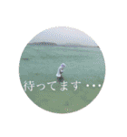 あいママ（個別スタンプ：17）
