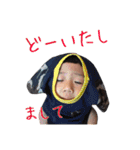 りん ＆ そうすけ 3（個別スタンプ：5）