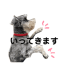 素晴らしい犬のごんちゃん（個別スタンプ：2）