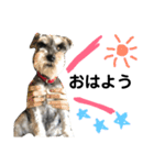 素晴らしい犬のごんちゃん（個別スタンプ：22）