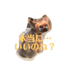 コロネのスタンプDX（個別スタンプ：13）