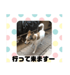 可愛い家族達、いつまでも心に。（個別スタンプ：9）