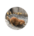可愛い家族達、いつまでも心に。（個別スタンプ：12）