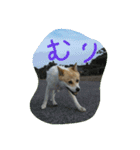 プリン スタンプ（個別スタンプ：2）