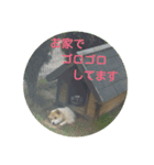 プリン スタンプ（個別スタンプ：12）