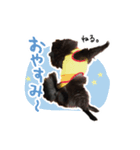 ブラックポメラニアン！（個別スタンプ：2）