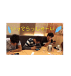 カップルと猫（個別スタンプ：20）