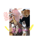 カップルと猫（個別スタンプ：34）
