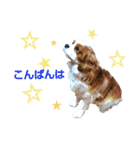 チビタの日常会話（個別スタンプ：2）