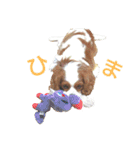 チビタの日常会話（個別スタンプ：27）