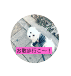 マルクくん（個別スタンプ：4）