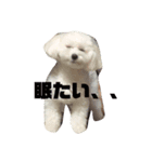 マルクくん（個別スタンプ：6）