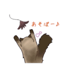 A型メガネ女子（個別スタンプ：11）