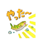 sakana no sutanpu（個別スタンプ：1）