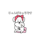 ミニチュアシュナウザーのチェロ vol.2（個別スタンプ：7）