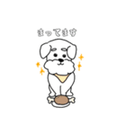 ミニチュアシュナウザーのチェロ vol.2（個別スタンプ：15）
