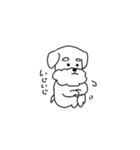 ミニチュアシュナウザーのチェロ vol.2（個別スタンプ：19）